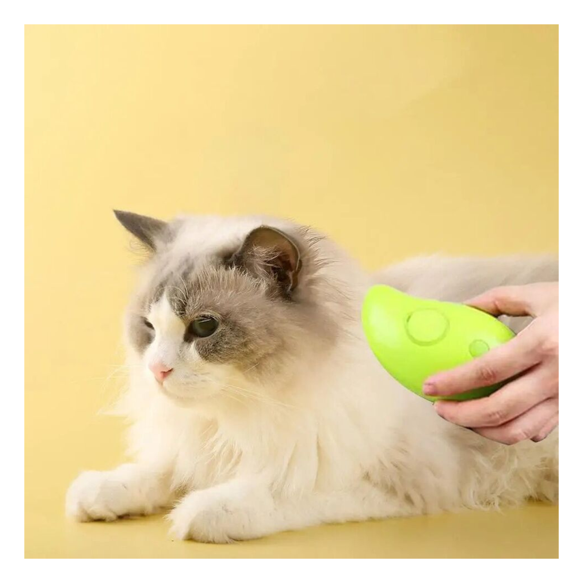 Cepillo Vapor Multifuncional De Mascota (Envío gratis)